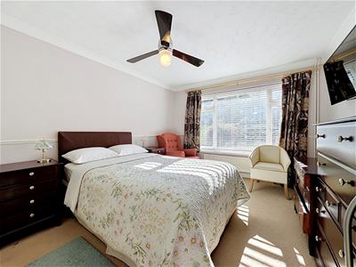 Picture 7